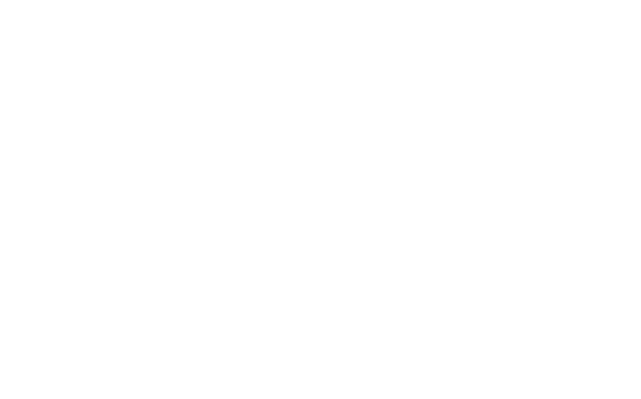 PIMP - PERU